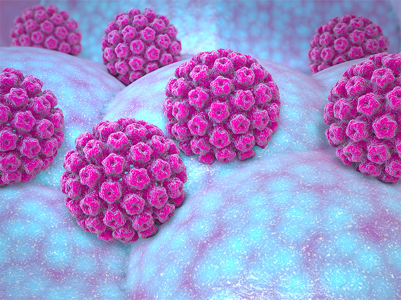 Chế độ ăn uống cho người bị nhiễm HPV Virus HPV