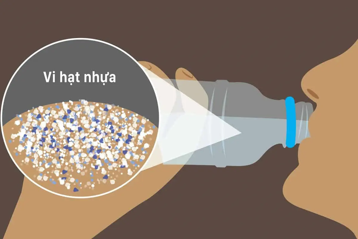 Vi nhựa và hiểm họa âm thầm cho sức khoẻ con người vi nhua 4